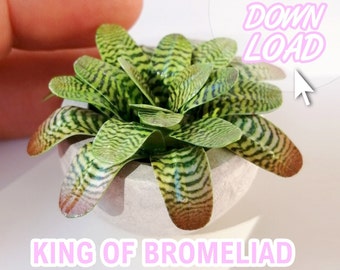 Dollhouse Plant Exotic Bromeliad 1/12 Printable PDF files