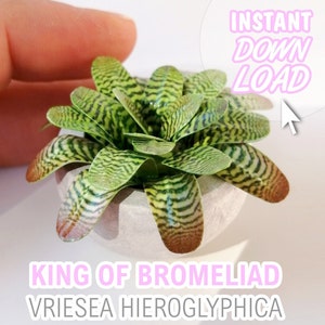Dollhouse Plant Exotic Bromeliad 1/12 Printable PDF files