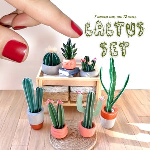 Set di cactus per casa delle bambole, piante d'appartamento in miniatura in stile boho, piccoli cactus fioriti stampabili in scala 1:12, DOWNLOAD PDF