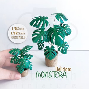 Puppenhaus Miniatur Druckbare Pflanzen Monstera Deliciosa 1/6 Skala & 1/12 Skala HERUNTERLADEN. DIY Papiermodell, Puppenhaus Dekor Vorlage.