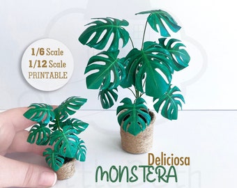 Printable  Dollhouse Miniature Monstera Plant: 1/6 & 1/12 Scale (PDF)