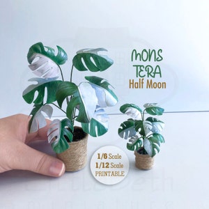 1 /6 Scale, 1/12 Scale Dollhouse Plants Monstera Half Moon. Miniature Printable DOWNLOADABLE, Template. DIY Paper Craft, Dollhouse Decor