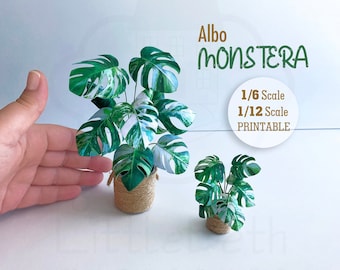 Dollhouse Miniature Monstera Albo Plant: DIY Printable 1/6 & 1/12 Scale (PDF)