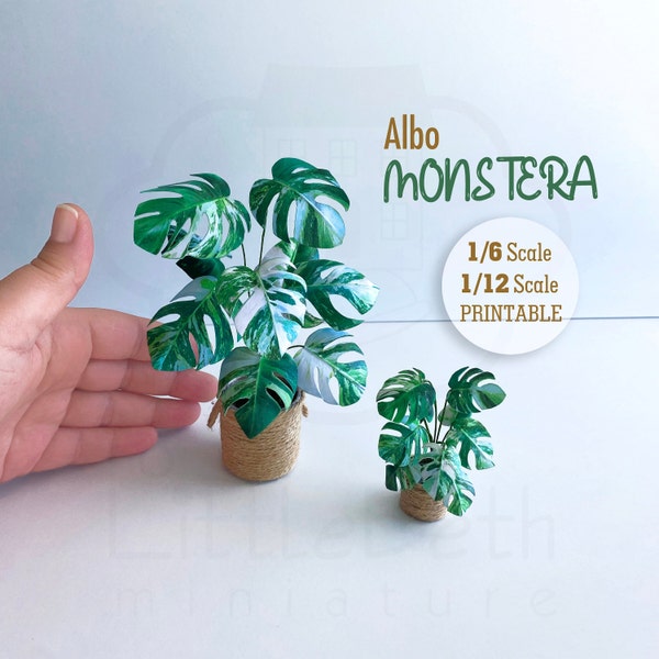 Dollhouse Printable Plants, Miniature Monstera Albo  1/6 Scale, 1/12 Scale. Digital DOWNLOADABLE. Dollhouse Decor Template. DIY Paper Craft.