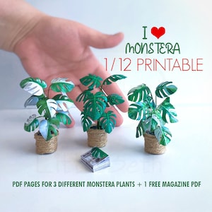 Druckbare Miniatur Pflanzen Monstera Puppenhaus-Set. 1:12 Maßstab. Deliciosa, Albo, Half Moon, 3 verschiedene DIY PaperCraft dekorative Zimmerpflanzen