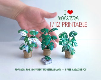 Printable Miniature Plants Monstera Set for Dollhouse 1:12 Scale. Deliciosa, Albo, Half Moon, 3 Different Paper Craft Decorative HousePlants