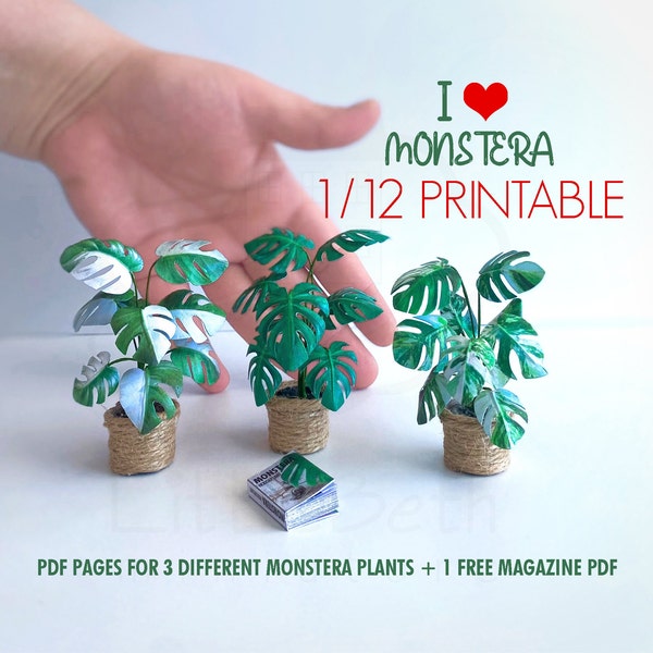 Druckbares Miniatur-Pflanzen-Monstera-Set für Puppenhaus im Maßstab 1:12. Deliciosa, Albo, Half Moon, 3 verschiedene dekorative Zimmerpflanzen aus Papier