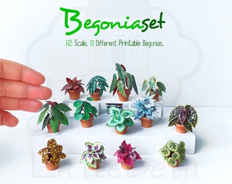 Dollhouse Miniatures Houseplants Begonia set 1:12 Scale 13 Different printable PDF Files. Instant Digital DOWNLOAD