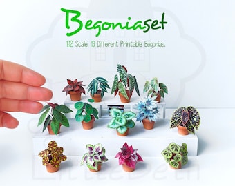 Dollhouse Miniatures Houseplants Begonia set 1:12 Scale 13 Different printable PDF Files. Instant Digital DOWNLOAD