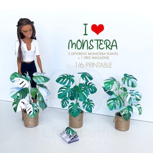 1: 6 druckbare Monstera HausPflanzen Set für Miniaturpuppenhaus. 3 Verschiedene, Papier Handwerk Dekorative Deliciosa, Albo, Halbmond.