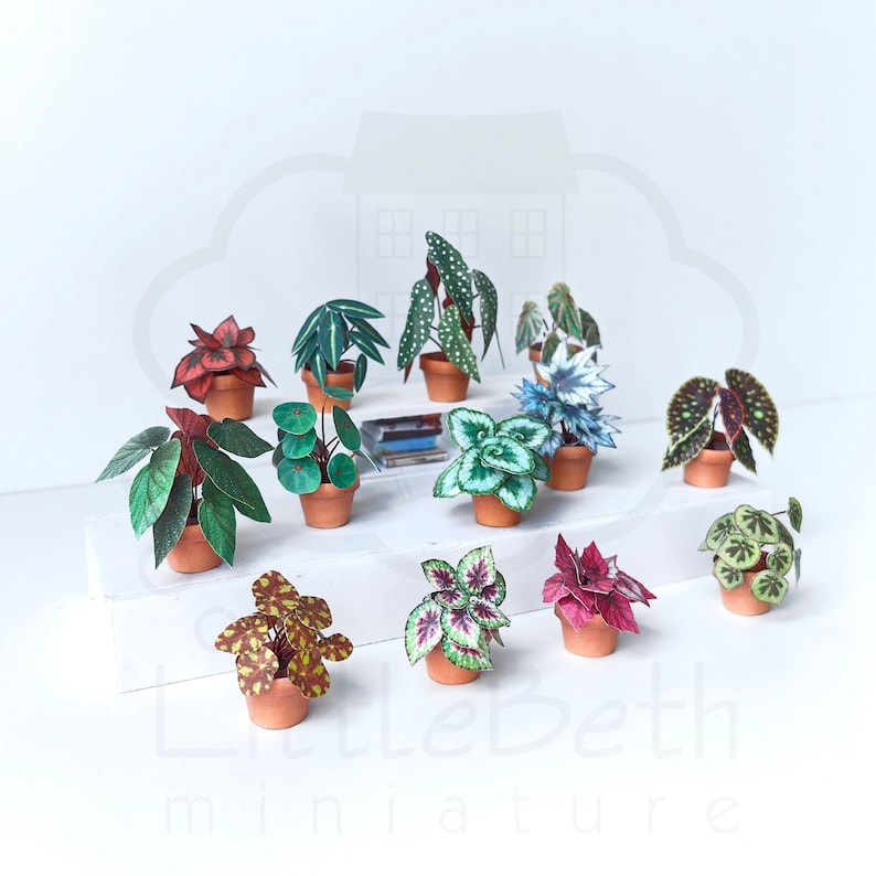 Set of Decorative Miniature Begonia Houseplant for your Dollhouse. Paper craft in size 1:12 Instant Digital downloadable and Printable PDF files. DIY Project. 
🪴 There are 13 different digital Begonia houseplants in the set.