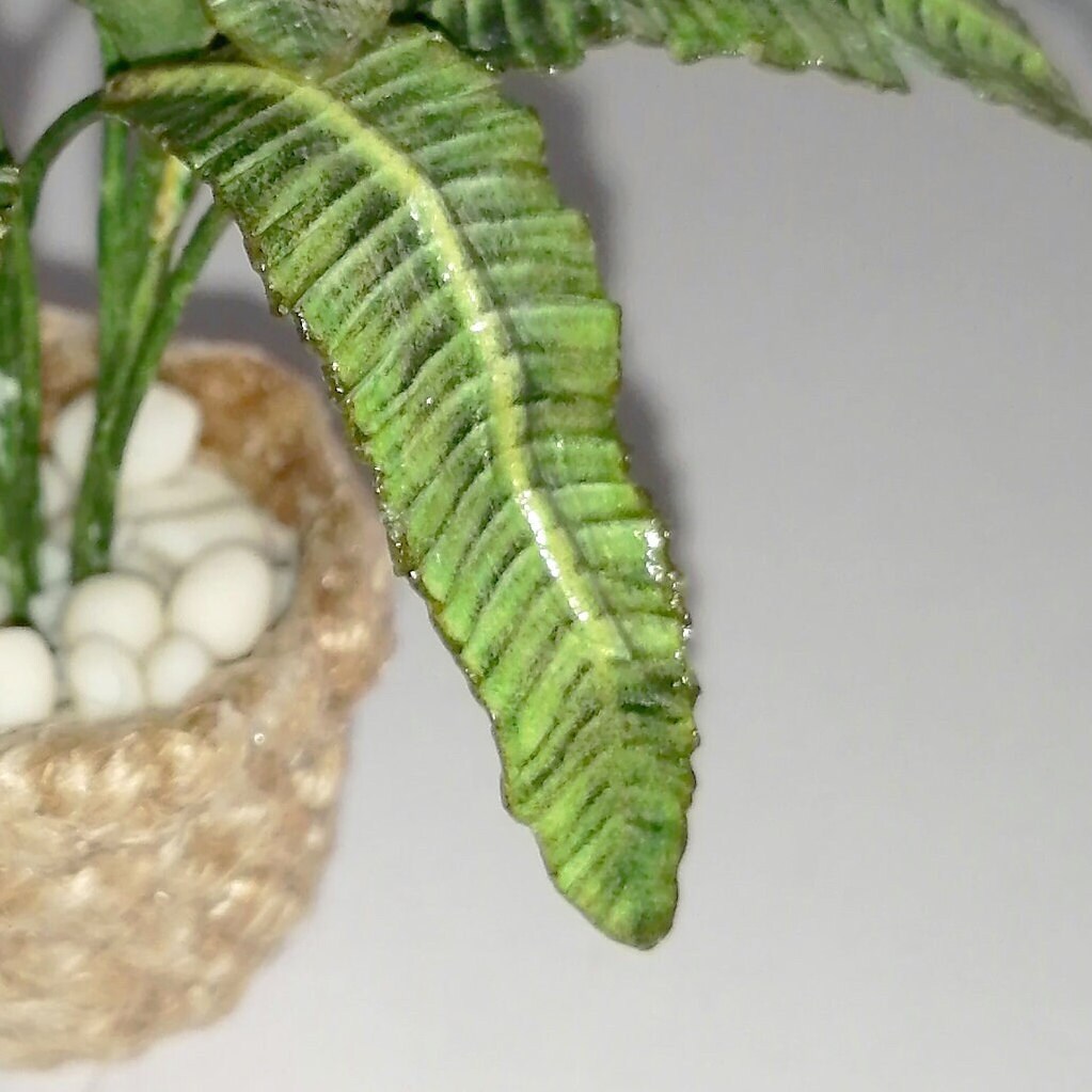 Digital Template Miniature Plant Leaf for Dollhouse 1:12 | Etsy