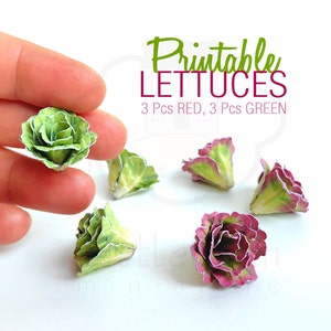 Druckbare Miniatur Salate, Gemüse für Puppenhaus 1:12. Zubehör für Küche, Fairy Garden, Tischdekoration. Insgesamt 6 Stück  Digitales PDF.