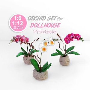Puppenhaus Orchidee Set, Miniatur blühende Zimmerpflanzen, 1,12 und 1,6 druckbare digitale PDF-Dateien zum DOWNLOAD, 3 verschiedene Farben.
