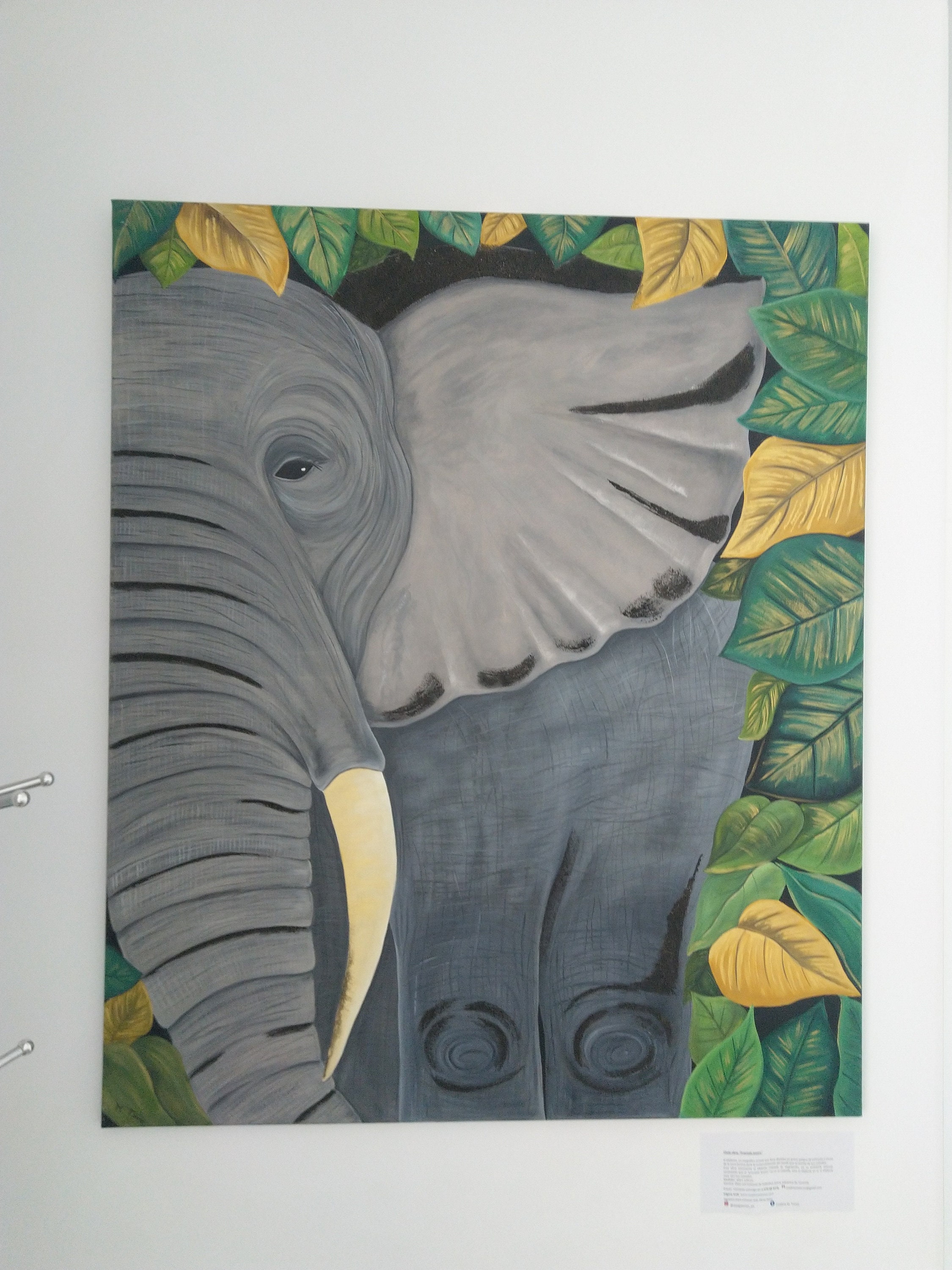 Lote de 3 Laminas Animales para Cuadros Selva Tropical Leon Elefante Jirafa  Poster Habitacion Bebe Infantil Niña Niño Regalo 30x40 sin Marco :  : Bebé