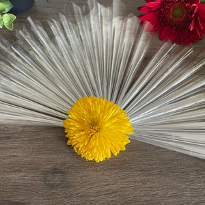 May include: A bright yellow chrysanthemum flower is the focal point, surrounded by clear cellophane cones, arranged in a fan shape. A red gerbera daisy and greenery are also visible. The arrangement is set on a dark wood surface.