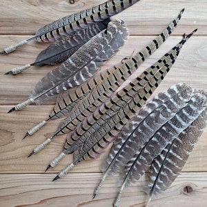 Wild Feather Quill