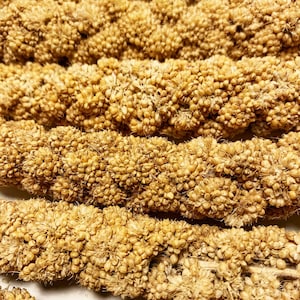 Millet spray top