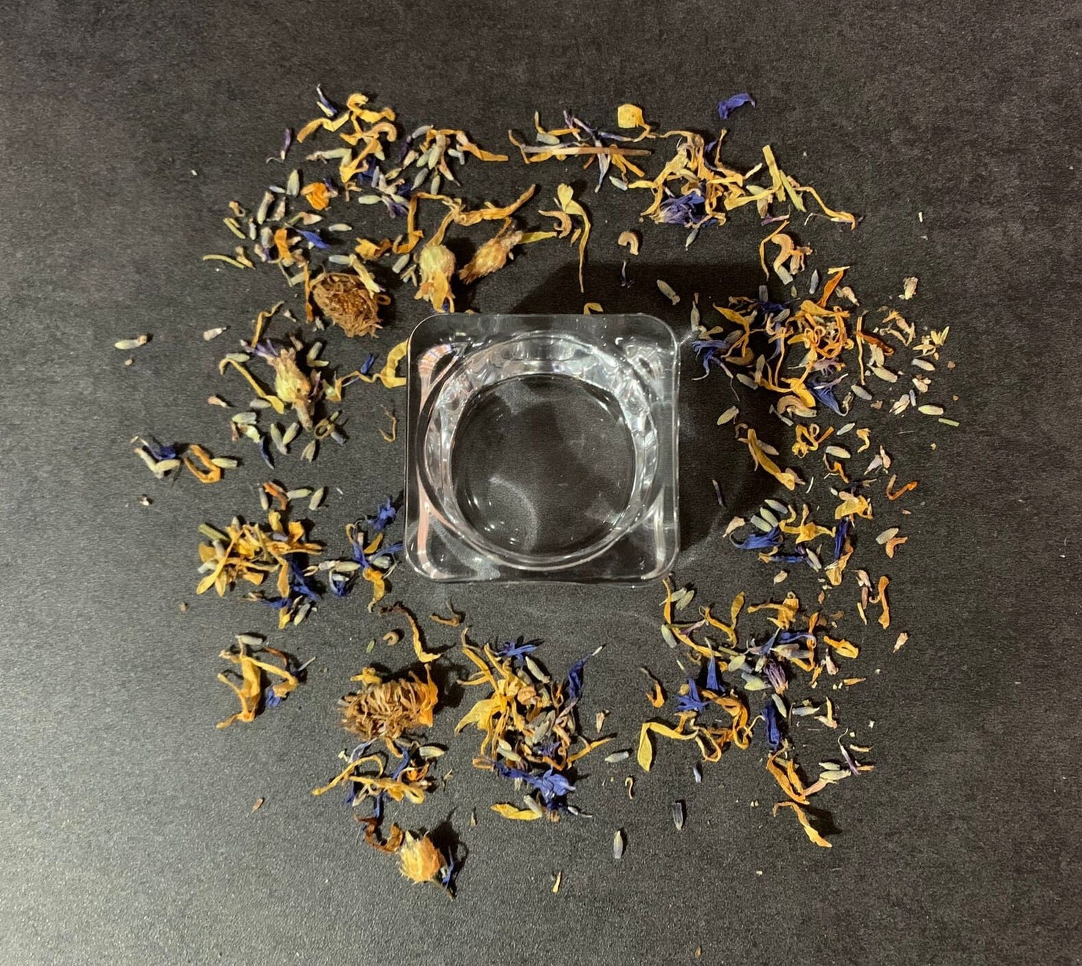 Hamster Water Bowl Etsy