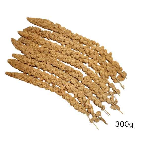 millet spray for birds