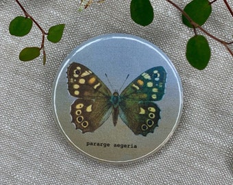 Magnet | Butterfly | Button | Refrigerator magnet | | wall Paper holder | Pararge aegeria | Speckled wood