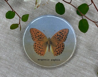 Magnet | Button | Schmetterling | Kühlschrankmagnet | Pinnwand | Zettelhalter | argynnis paphia | Kaisermantel