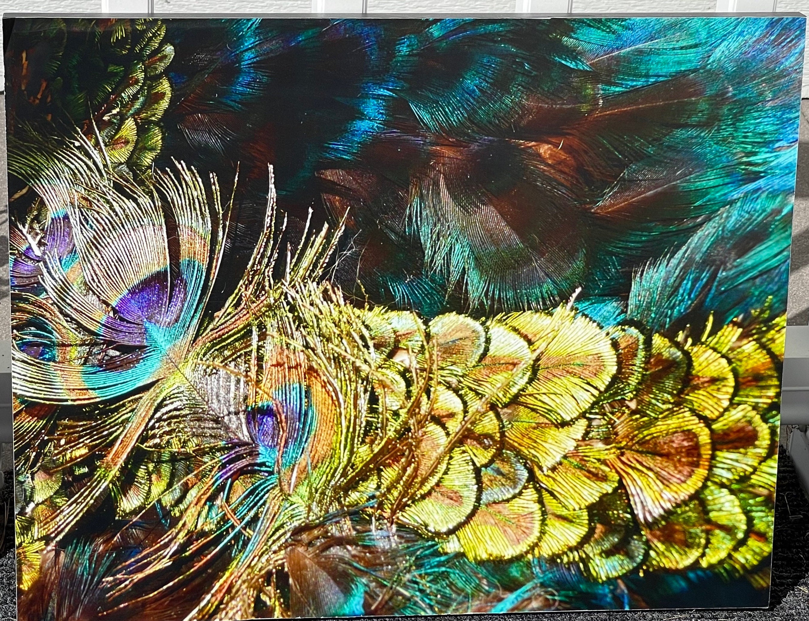 Unique Peacock Feather Photo - Etsy