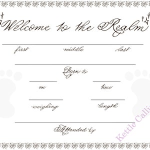 Welkom bij de Realm Keepsake geboorteakte, geboorte thuis | Geboorte in ziekenhuis | Kinderkamer kunst aan de muur Geboortestatistieken INSTANT DOWNLOAD