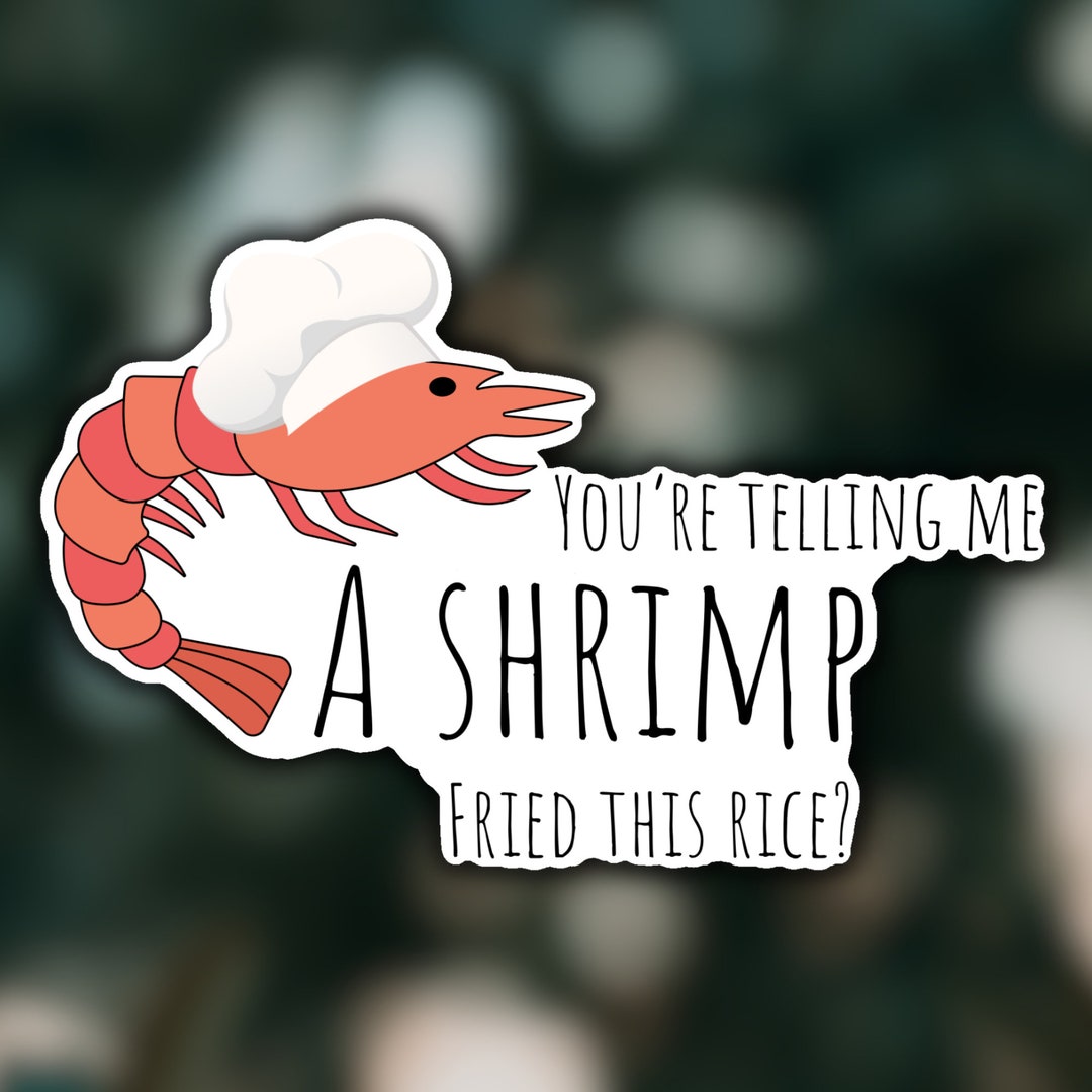 Shrimp Fried Rice Funny Saying Glossy Vinyl Sticker Chinese Food Art