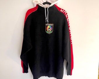 Balenciaga classic clothing hoodie