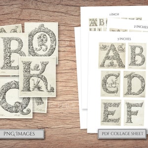 May include: A printable PDF collage sheet with 9 images of ornate letters of the alphabet. The letters are in a vintage style and are surrounded by intricate floral designs. The sheet is labeled with the sizes of the images in inches.
