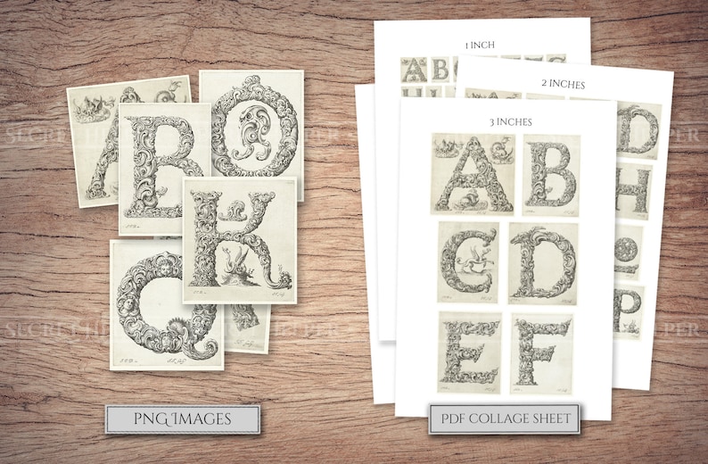 May include: A printable PDF collage sheet with 9 images of ornate letters of the alphabet. The letters are in a vintage style and are surrounded by intricate floral designs. The sheet is labeled with the sizes of the images in inches.