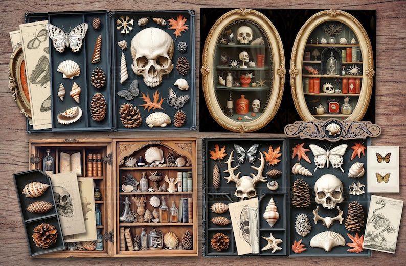 May include: A collection of curiosities, including skulls, butterflies, seashells, and pinecones, arranged in shadow boxes and display cabinets. The items are displayed on a wooden surface, creating a vintage aesthetic.