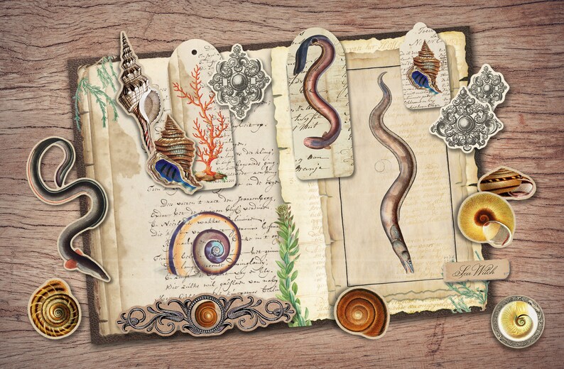 Sea Witch Junk Journal Kit (printable JPG Pages With Ephemera, Cover ...