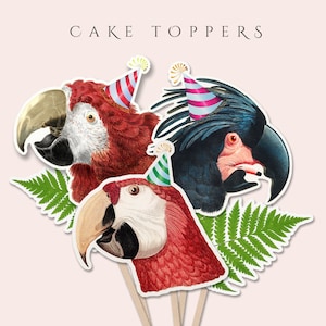 Printable Parrot Cake Topper (in JPG), Animals With Hat Cake Topper, Bird Cake Decoration Centerpiece, Digital Download for Commercial Use