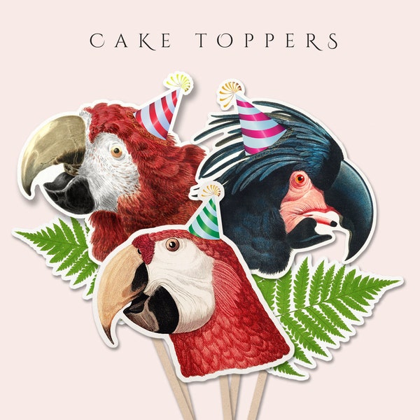 Printable Parrot Cake Topper (in JPG), Animals With Hat Cake Topper, Bird Cake Decoration Centerpiece, Digital Download for Commercial Use