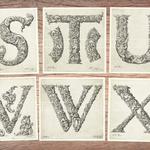 May include: Six vintage illustrations of ornate, decorative letters, S, T, U, V, W, and X. The letters are drawn in a black and white style with intricate details.