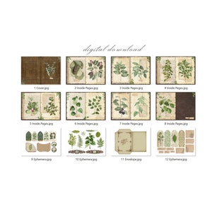 Botanical Junk Journal Kit (printable JPG Pages With Ephemera, Cover ...