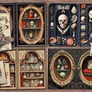 May include: A collection of framed art pieces with a vintage, gothic theme. The artwork features skulls, seashells, botanical illustrations, and antique bottles. The color palette includes black, gold, and earthy tones, creating a unique, decorative display.