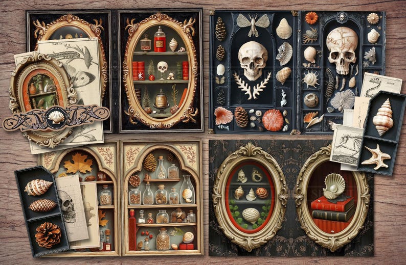 May include: A collection of framed art pieces with a vintage, gothic theme. The artwork features skulls, seashells, botanical illustrations, and antique bottles. The color palette includes black, gold, and earthy tones, creating a unique, decorative display.