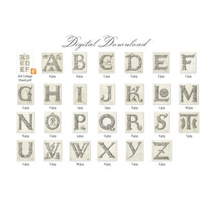 May include: A digital download of 26 alphabet letters in black and white. Each letter is surrounded by a decorative floral design. The letters are arranged in alphabetical order in a grid.