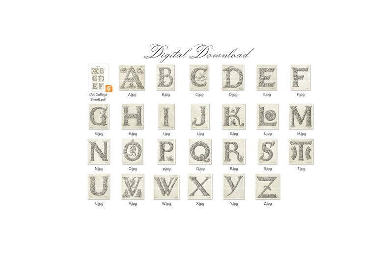 May include: A digital download of 26 alphabet letters in black and white. Each letter is surrounded by a decorative floral design. The letters are arranged in alphabetical order in a grid.
