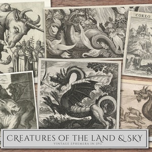 May include: A collection of vintage illustrations depicting mythical creatures from land and sky. The images feature a unicorn, a dragon, a griffin, and a winged horse. The illustrations are in black and white and have a detailed, intricate style.