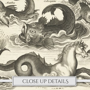 May include: A black and white engraving of various sea creatures, including a seahorse, a fish with a large mouth, and a fish with a long tail. The engraving is titled "Close Up Details".