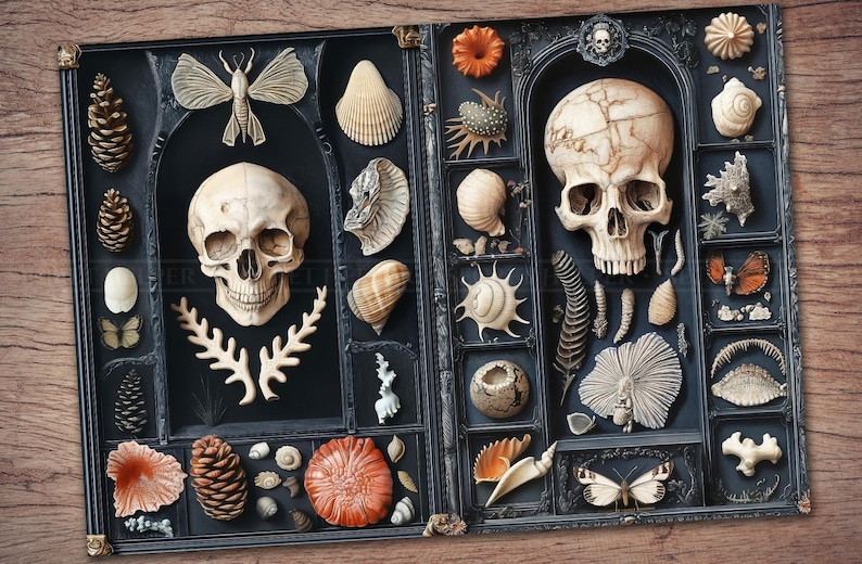 May include: A dark blue framed display featuring a collection of natural objects. The display includes two human skulls, seashells, butterflies, pine cones, and other natural elements. The objects are arranged in individual compartments.