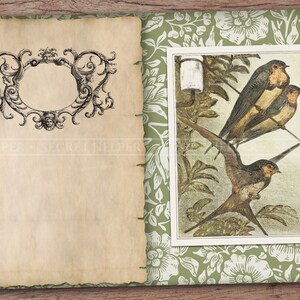 Puede incluir: Un libro de estilo antiguo con un marco decorativo en la p&aacute;gina izquierda y una ilustraci&oacute;n vintage de tres p&aacute;jaros posados en una rama en la p&aacute;gina derecha. El fondo es un patr&oacute;n floral verde.