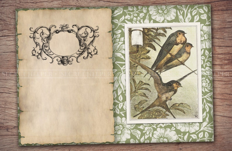 Puede incluir: Un libro de estilo antiguo con un marco decorativo en la p&aacute;gina izquierda y una ilustraci&oacute;n vintage de tres p&aacute;jaros posados en una rama en la p&aacute;gina derecha. El fondo es un patr&oacute;n floral verde.