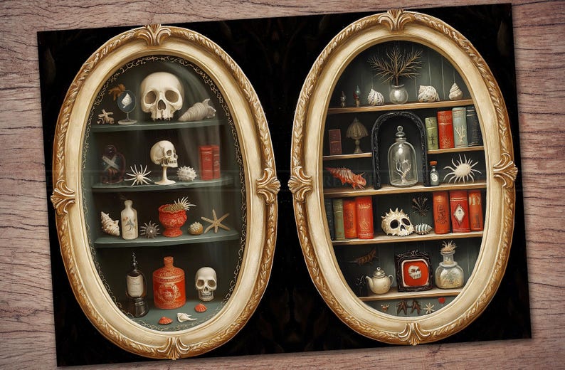 May include: Two oval-framed displays with antique-style shelves filled with curiosities. One features a skull, shells, and books. The other showcases a glass dome, books, and a skull. The frames have a gold finish, set against a dark background.