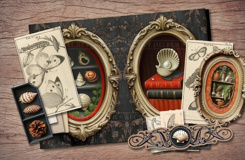 May include: An artistic composition featuring two ornate oval frames with detailed gold trim, each showcasing a miniature display of seashells, books, and botanical illustrations. Accompanying the frames are vintage-style butterfly and shell prints, and a small black tray with seashells and a pinecone.