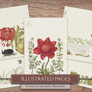K&ouml;nnte beinhalten: F&uuml;nf leere druckbare Seiten mit handgezeichneten Illustrationen von Blumen, Insekten und botanischen Elementen. Die Seiten sind zum Schreiben von Zauberspr&uuml;chen, Affirmationen oder anderen pers&ouml;nlichen Notizen gedacht. Der Text unten lautet "Illustrierte Seiten Zum Schreiben eigener Zauber, Affirmationen".